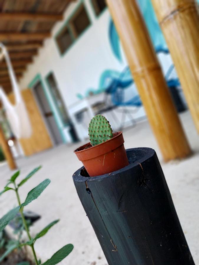 Appartamento Flor De Bambu Uvita Esterno foto